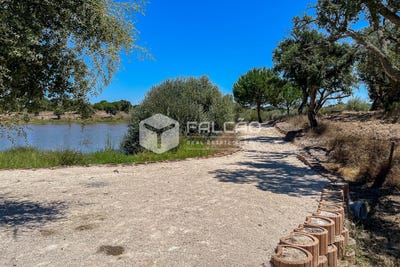 /international/pt/benavente-santarem-310094053925/