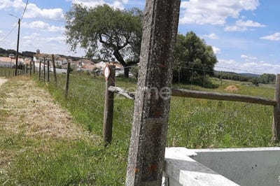 /international/pt/montemor-o-novo-evora-310100598817/