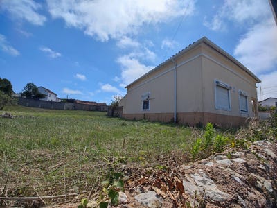 /international/pt/brenha-coimbra-310107469775/