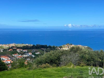 /international/pt/ilha-da-madeira-madeira-310093922376/