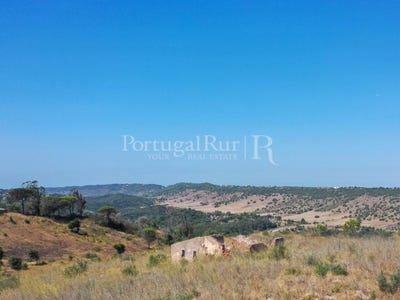 /international/pt/palmela-setubal-municipality-310108651750/