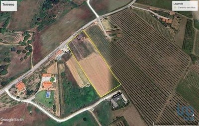 /international/pt/bombarral-leiria-120090401477/