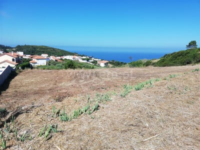 /international/pt/famalicao-leiria-310103816647/?lang=zh-cn