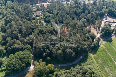 /international/pt/sabariz-vila-verde-braga-310100907976/