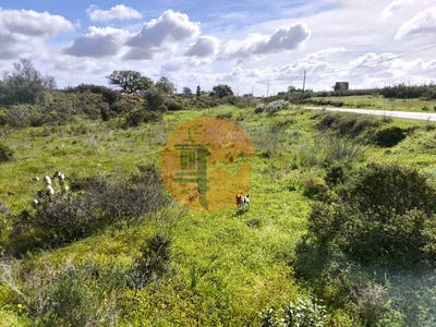 /international/pt/azinhal-faro-310106737983/