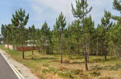/international/pt/rua-principal-vagos-portugal-santo-andre-de-vagos-aveiro-310108402754/