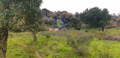 /international/pt/arruda-dos-vinhos-lisbon-310106019452/
