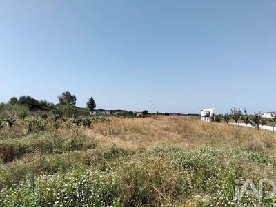 /international/pt/santarem-santarem-310100953195/