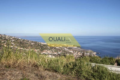 /international/pt/santa-cruz-madeira-120054794310/