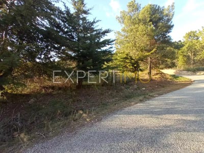 /international/pt/guarda-guarda-310105989698/