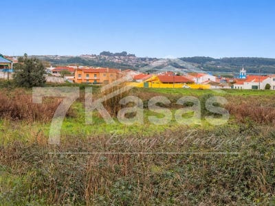 /international/pt/olho-marinho-leiria-310107429722/