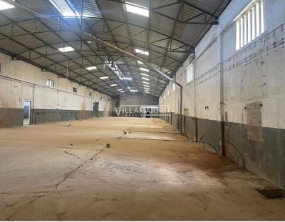 /international/pt/amiais-de-baixo-santarem-310103194957/