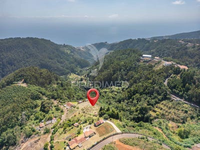 /international/pt/santo-antonio-da-serra-santa-cruz-madeira-310096438997/