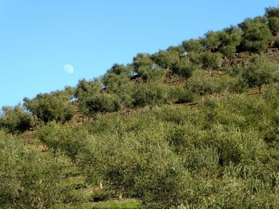 /international/pt/alfandega-da-fe-braganca-310102861219/