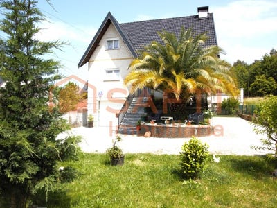 /international/pt/queiriga-viseu-310100135856/