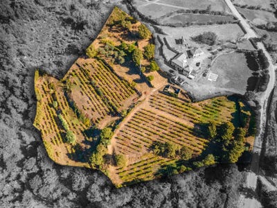 /international/pt/r-de-covelo-147-4640-portugal-grilo-porto-310105104628/