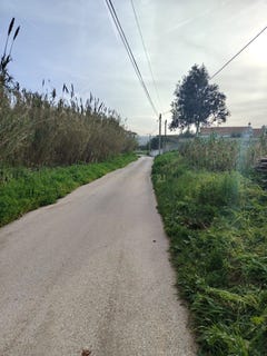 /international/pt/santo-antao-e-sao-juliao-do-tojal-lisbon-310097844730/