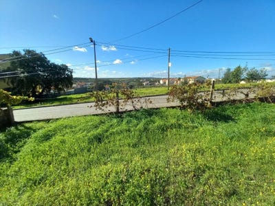 /international/pt/rua-carreira-de-tiro-castelo-branco-braganca-310105235771/