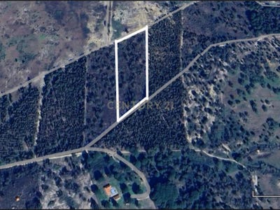 /international/pt/nucho-das-faias-casal-195-pegoes-setubal-municipality-310105156931/