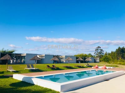 /international/pt/f8v8-q2-s-teotonio-portugal-sao-teotonio-beja-310100955839/