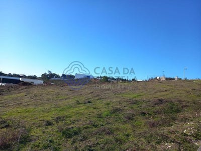 /international/pt/constancia-santarem-310106442459/