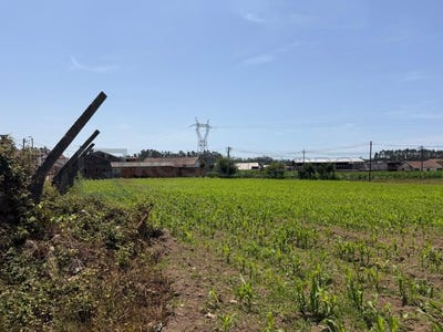 /international/pt/loureiro-viseu-310109123027/