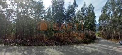 /international/pt/pessegueiro-do-vouga-aveiro-310100488234/