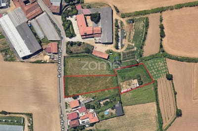 /international/pt/valongo-braganca-310106743830/