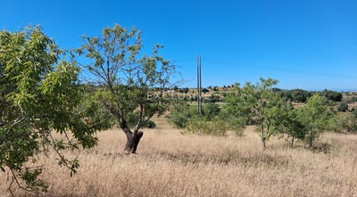 /international/pt/faro-faro-310108923693/?lang=es