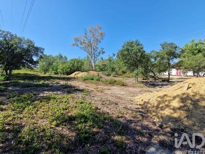 /international/pt/fernao-ferro-setubal-municipality-310101184401/