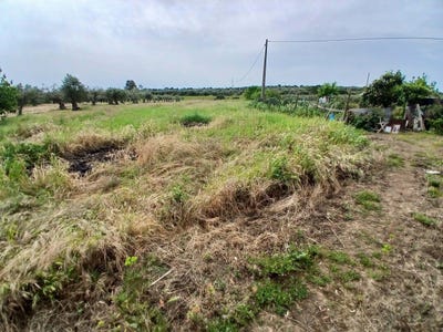 /international/pt/rua-de-reguengos-7200-322-portugal-monsaraz-evora-310108048993/