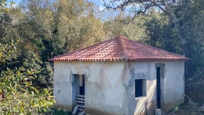 /international/pt/beja-beja-310104040891/