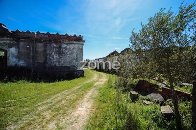 /international/pt/rio-maior-aveiro-310098534653/?lang=fr