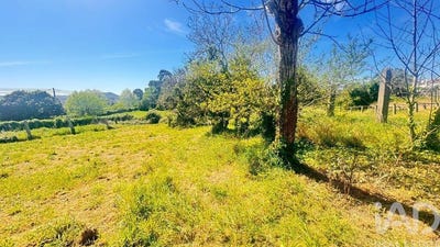 /international/pt/viana-do-castelo-viana-do-castelo-310106991521/
