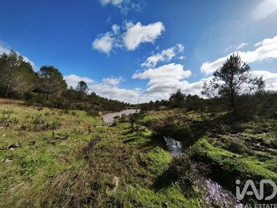 /international/pt/beja-beja-310105188343/
