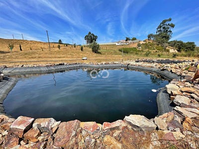 /international/pt/saboia-beja-310100712607/