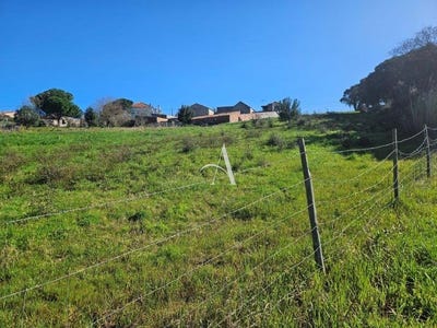/international/pt/salir-de-matos-leiria-310106261567/