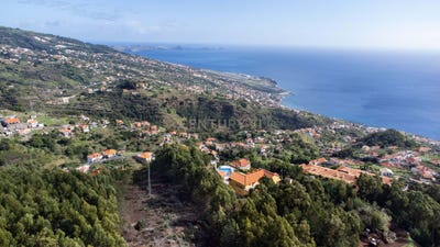 /international/pt/rua-do-salao-ilha-da-madeira-madeira-310103684800/