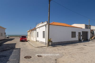 /international/pt/espinho-castelo-branco-310107239293/