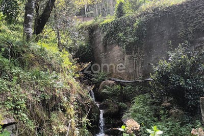 /international/pt/vieira-do-minho-braga-310098900370/