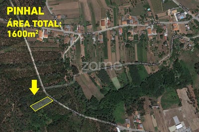 /international/pt/oliveira-do-bairro-aveiro-120073843612/