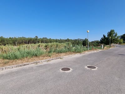 /international/pt/santa-maria-aveiro-310098417393/