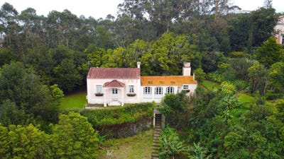 /international/pt/rua-goncalo-velho-ilha-de-sao-miguel-azores-310107521463/