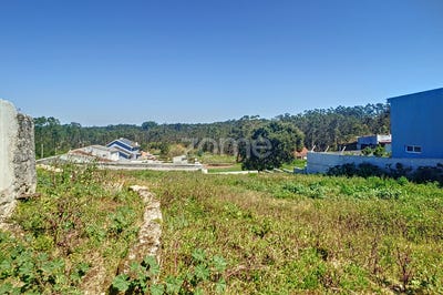 /international/pt/aveiro-aveiro-310098535021/