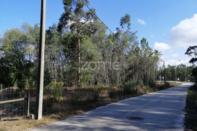 /international/pt/cantanhede-coimbra-120085954620/?lang=zh-tw