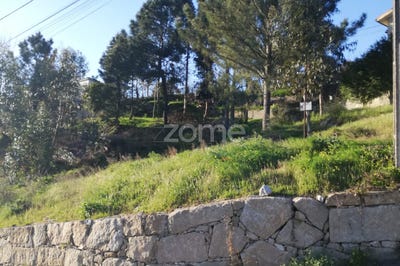 /international/pt/baiao-porto-310098111909/?lang=zh-tw