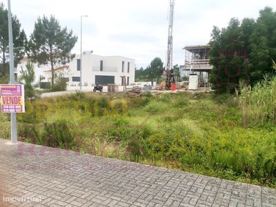 /international/pt/anca-coimbra-310100233449/
