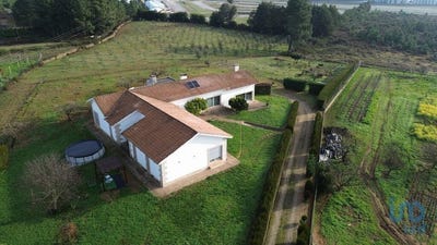 /international/pt/vila-real-nossa-senhora-da-conceicao-sao-pedro-e-vila-real-310101185958/?lang=zh-tw