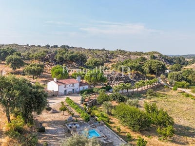 /international/pt/nossa-senhora-da-graca-de-povoa-e-meadas-portalegre-310108651520/?lang=it