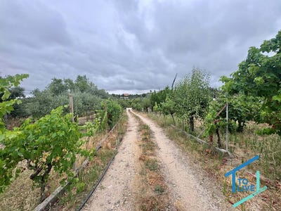 /international/pt/tomar-santarem-310103583385/